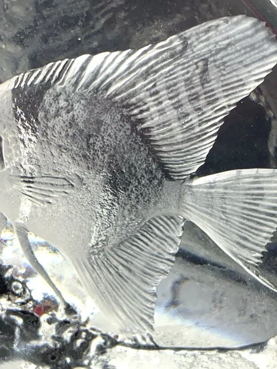 Art Glass Angel Fish Paperweight Clear Sweden Signed Numbered 4" Tall - Picture 2 of 8